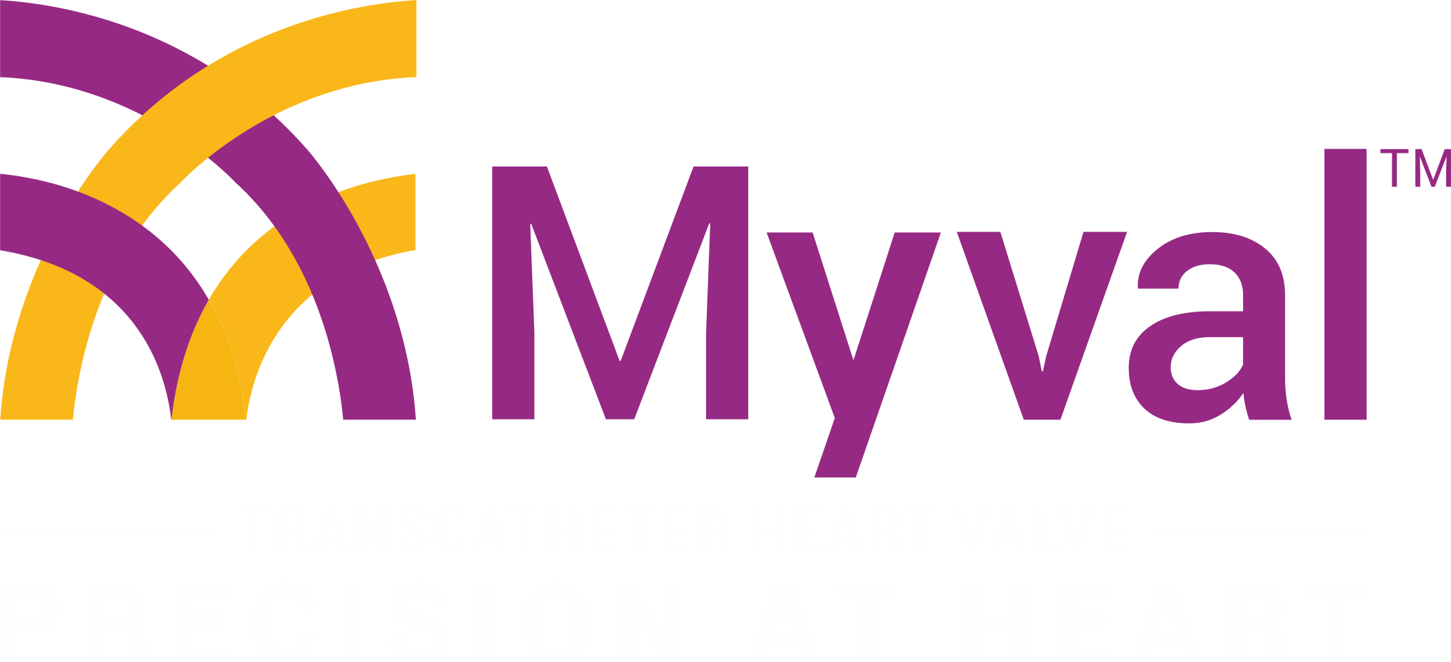 Πρωτοποριακή επέμβαση TAVI με την καινοτόμα βαλβίδα Myval στο Ιατρικό Διαβαλκανικό