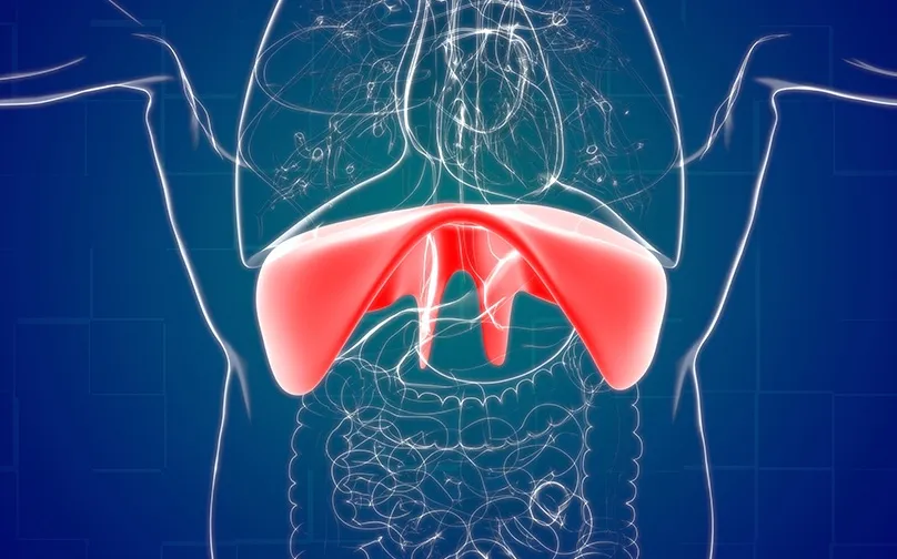 Διαφραγματοκήλη: Τι είναι και πώς θεραπεύεται;