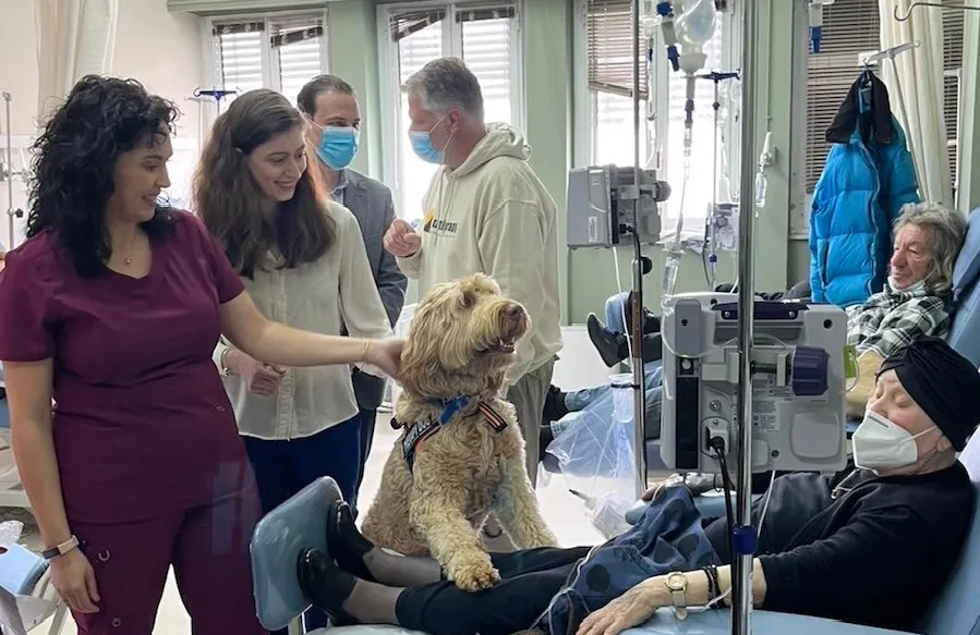 Νοσοκομείο Μεταξά: Ξεκίνησε η θεραπεία με σκύλους