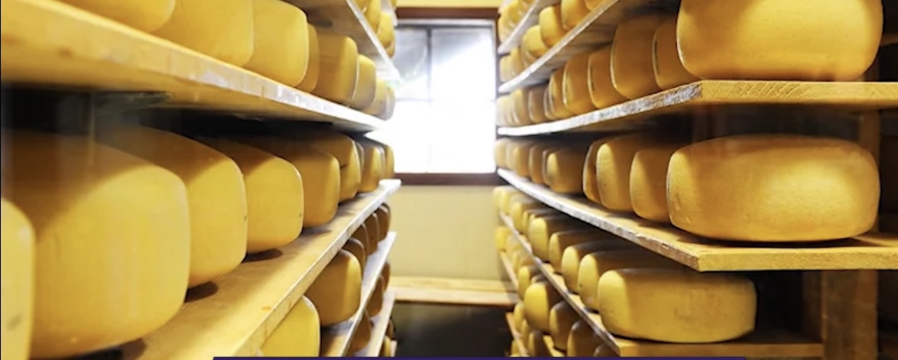 Μάθημα κακής οικονομικής πολιτικής, η ιστορία με το κυβερνητικό τυρί των ΗΠΑ